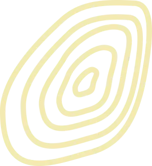 logo of InnerPact